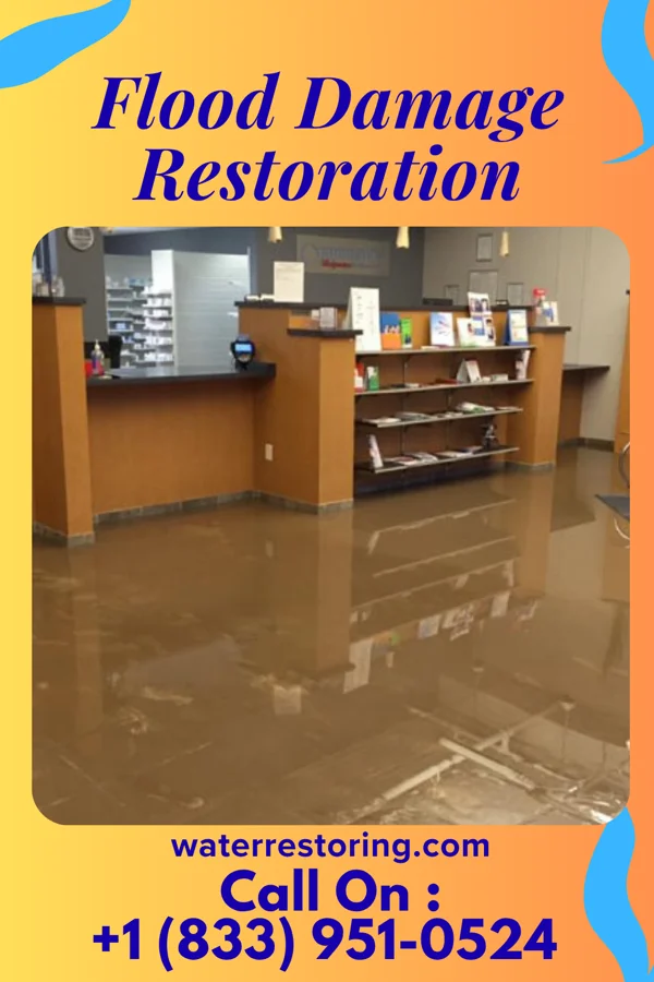 Flood Damage Restoration in North Weeki Wachee, FL