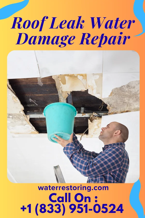 Roof Leak Water Damage Repair in North Weeki Wachee, FL